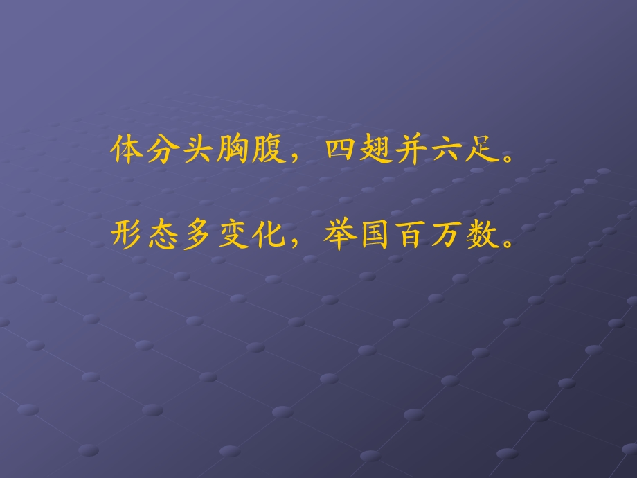 中班认识昆虫PPT课件教案中班认识昆虫.ppt_第3页