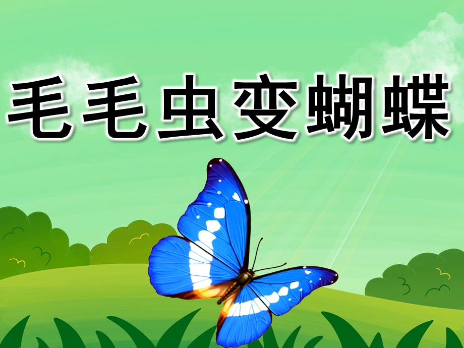 小班科学公开课《毛毛虫变蝴蝶》PPT课件教案PPT课件.ppt_第1页