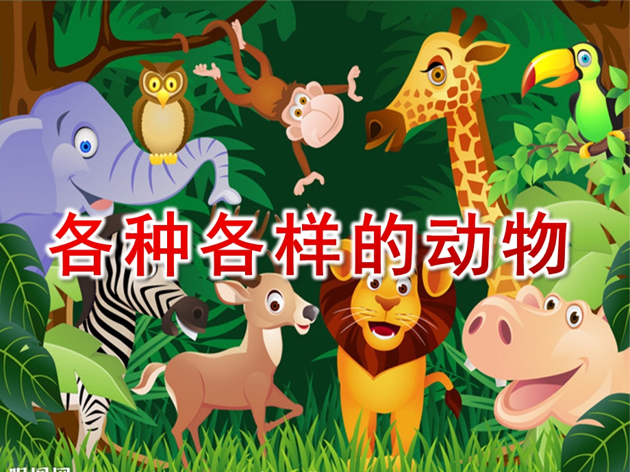 幼儿园《各种各样的动物》PPT课件各种各样的动物.ppt_第1页