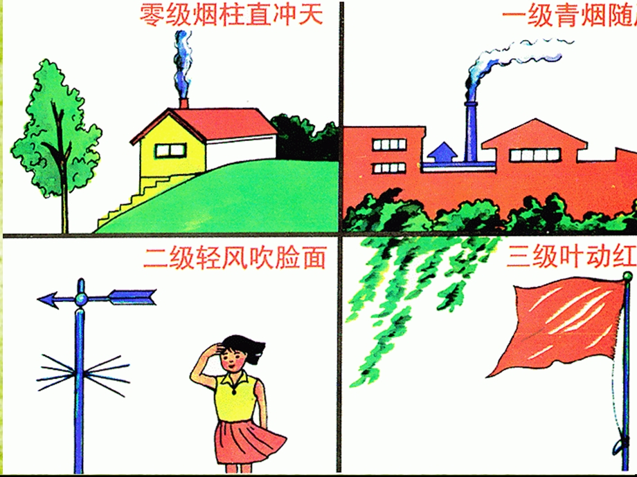 大班科学《风级我知道》PPT课件教案风级我知道.ppt_第2页