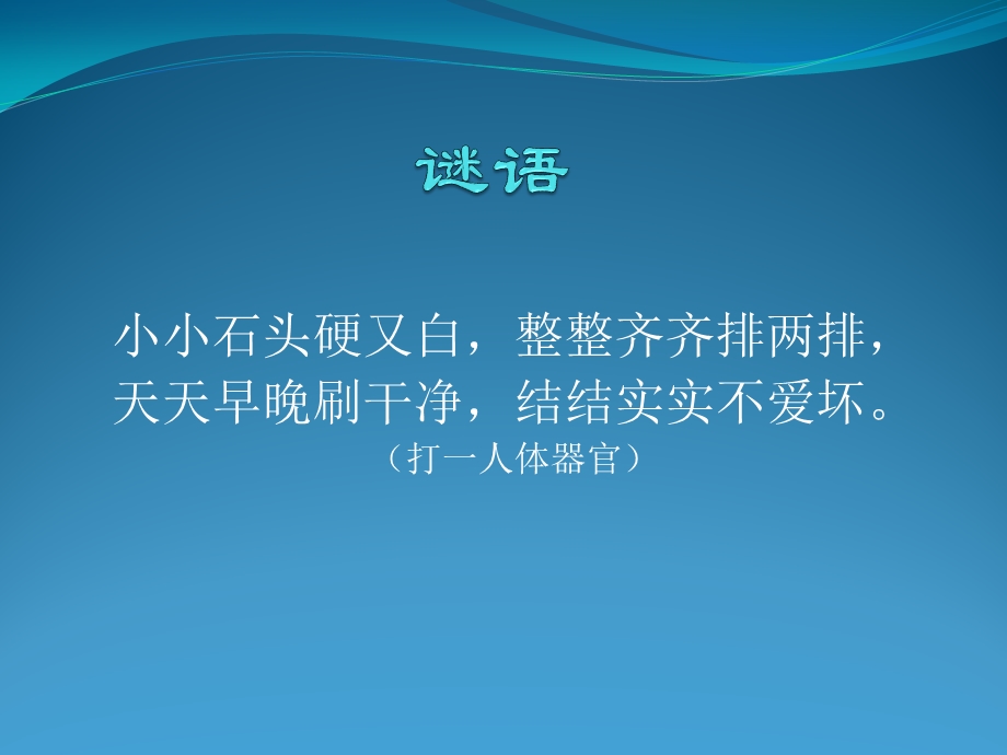 幼儿园健康教育《爱牙护牙》PPT课件幼儿园爱牙护牙.ppt_第3页