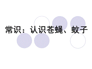 幼儿园常识《认识苍蝇、蚊子》PPT课件常识：认识苍蝇、蚊子.ppt