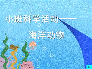 小班科学活动《海洋动物》PPT课件小班科学活动海洋动物.ppt