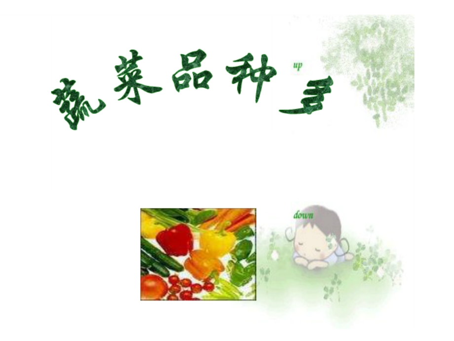 大班科学《吃植物的哪部分》PPT课件幼儿园大班科学《吃植物的哪部分》课件.ppt_第3页