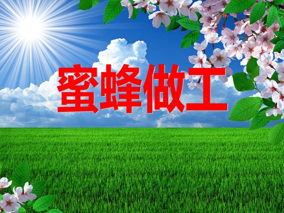 小班音乐《蜜蜂做工》PPT课件教案ppt课件.ppt_第1页