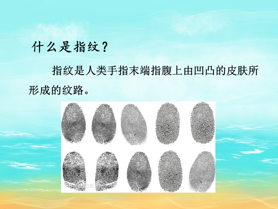 大班美术《有趣的指纹》PPT课件教案音乐PPT课件.ppt_第3页