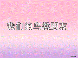 大班社会活动《我们的鸟类朋友》PPT课件大班社会活动《我们的鸟类朋友》.ppt