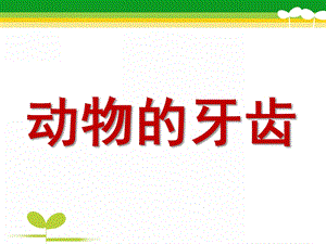 大班科学《动物的牙齿》PPT课件教案科学大班上第十六周+《动物的牙齿》.ppt