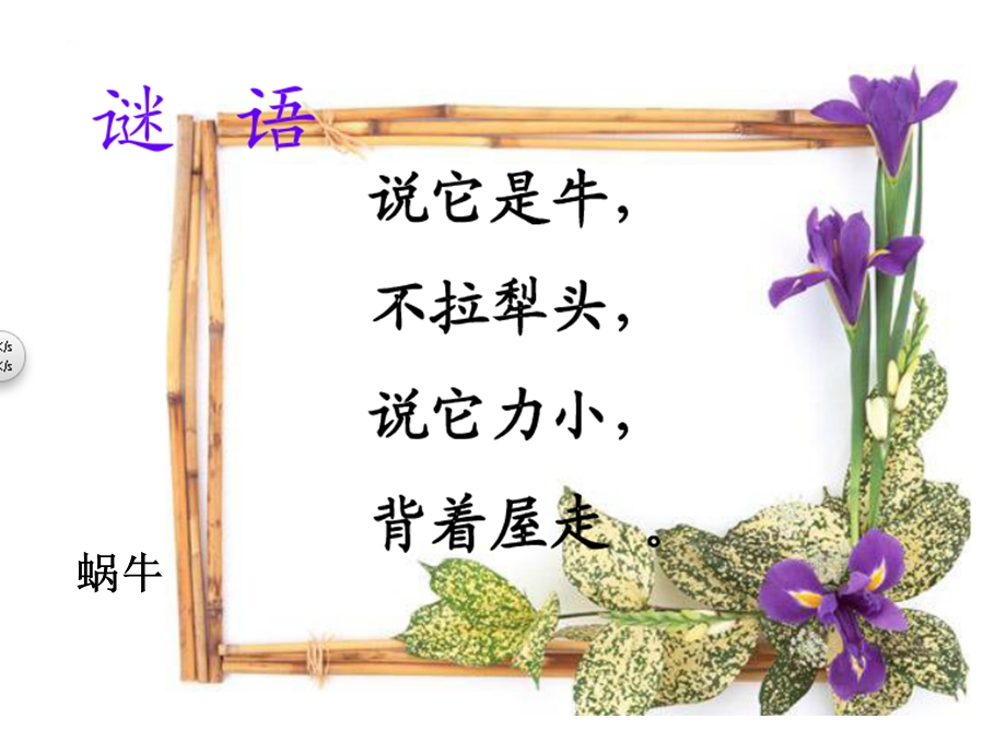 大班美术《蜗牛》PPT课件.ppt_第2页