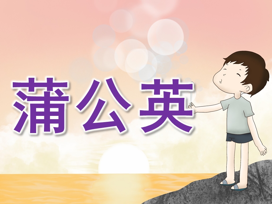 小班美术《蒲公英》PPT课件教案PPT课件.ppt_第1页