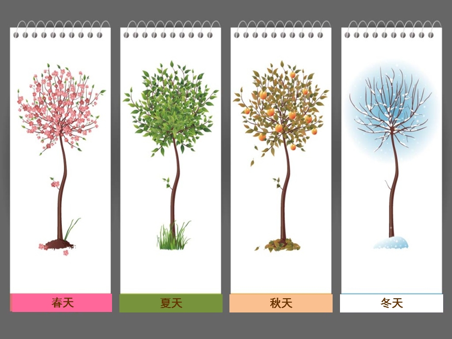 中班语言活动《神奇的树》PPT课件教案语言《神奇的树》.ppt_第2页