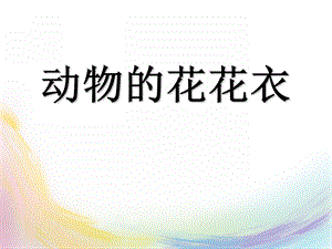 大班语言《动物的花花衣》PPT课件教案动物的花花衣(精.ppt