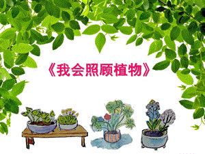 大班科学《我会照顾植物》PPT课件幼儿园大班课件《我会照顾植物》.ppt