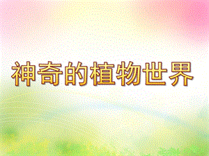 大班社会《神奇的植物世界》PPT课件教案神奇的植物世界.ppt