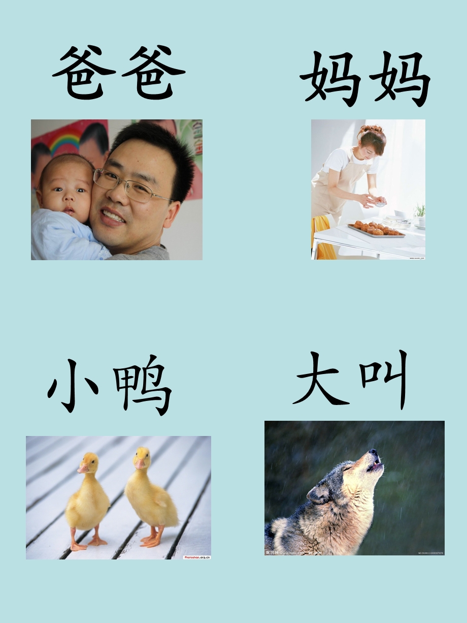 小班《右脑识字》PPT课件小班右脑识字.ppt_第2页