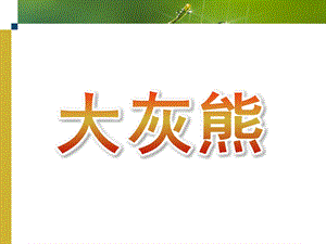 小班音乐《大灰熊》PPT课件教案音乐大灰熊.ppt