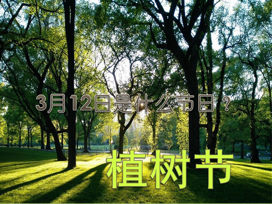 大班《植树节》PPT课件教案幼儿园大班植树节.ppt_第1页