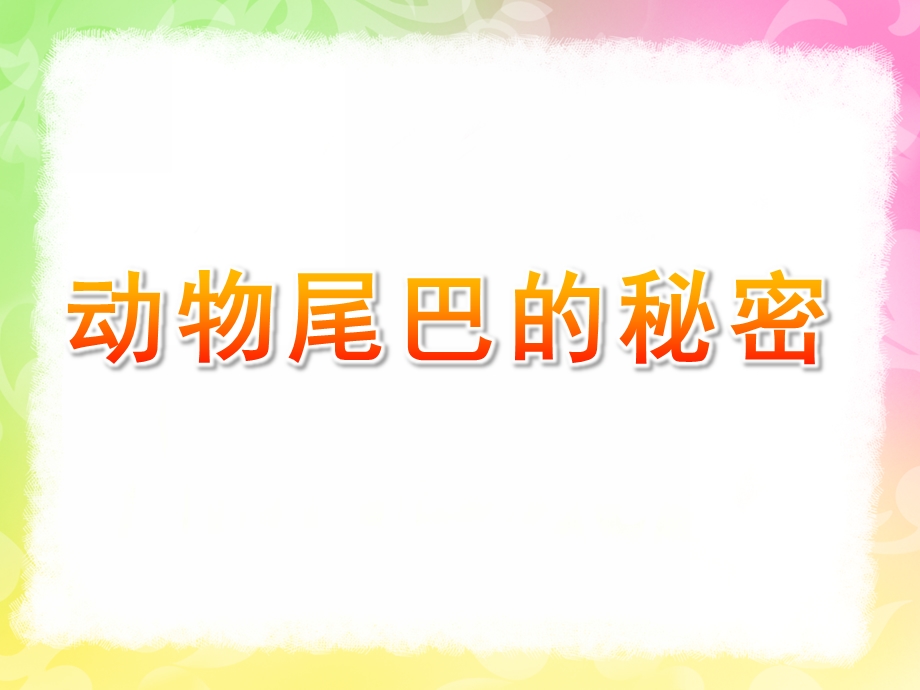 大班科学公开课《动物尾巴的秘密》PPT课件教案8571b333f524ccbff12184fa.ppt_第1页