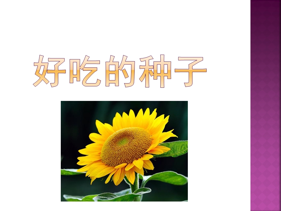 大班社会领域《好吃的种子》PPT课件教案好吃的种子.ppt_第1页