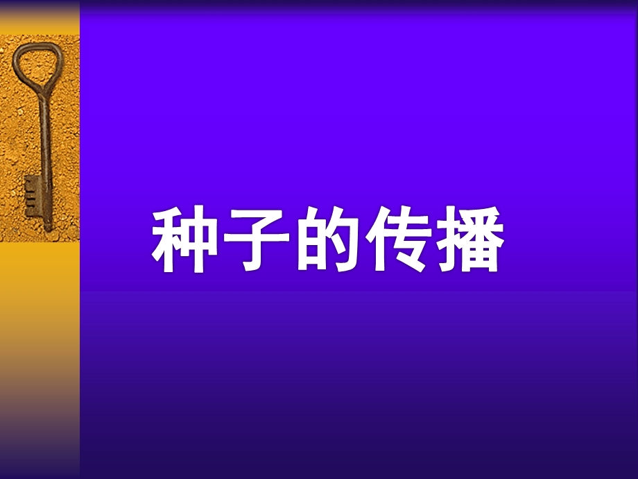 大班科学活动《种子的传播》PPT课件教案大班科学活动：种子的传播.ppt_第1页