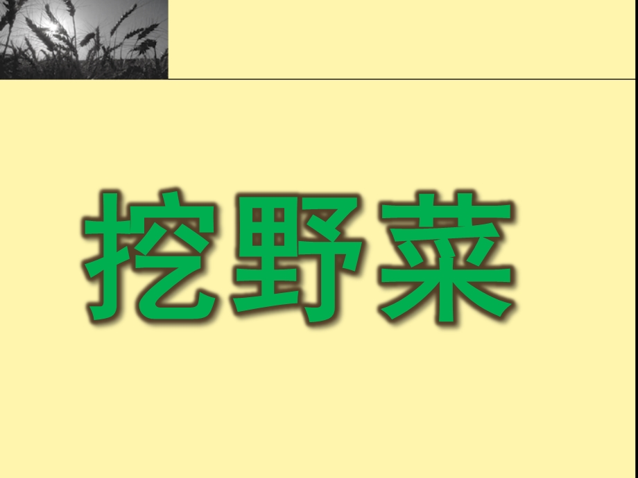 大班科学《挖野菜》PPT课件教案大班科学：挖野菜.ppt_第1页