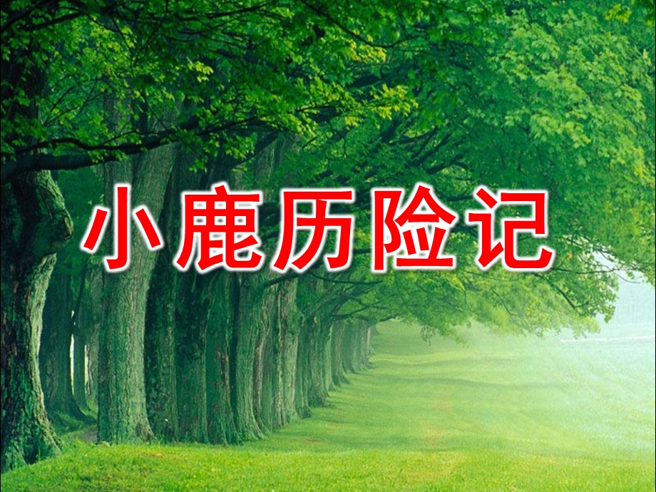 大班综合《小鹿历险记》PPT课件教案.ppt_第1页