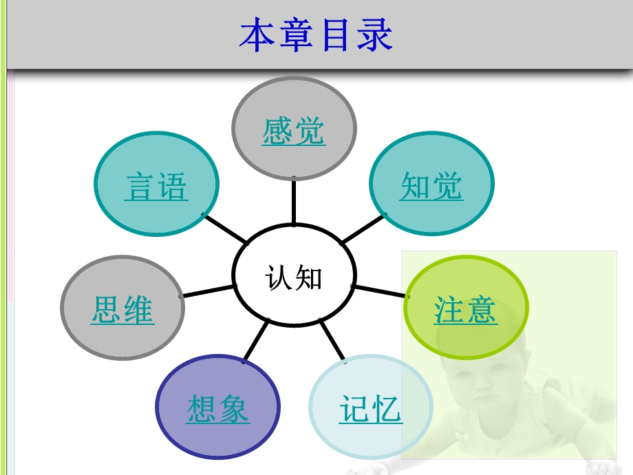 幼儿园学前儿童认知的发展PPT课件学前儿童认知的发展...ppt_第3页