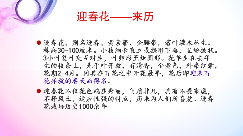 小班《迎春花》PPT课件《迎春花》课件.ppt_第3页