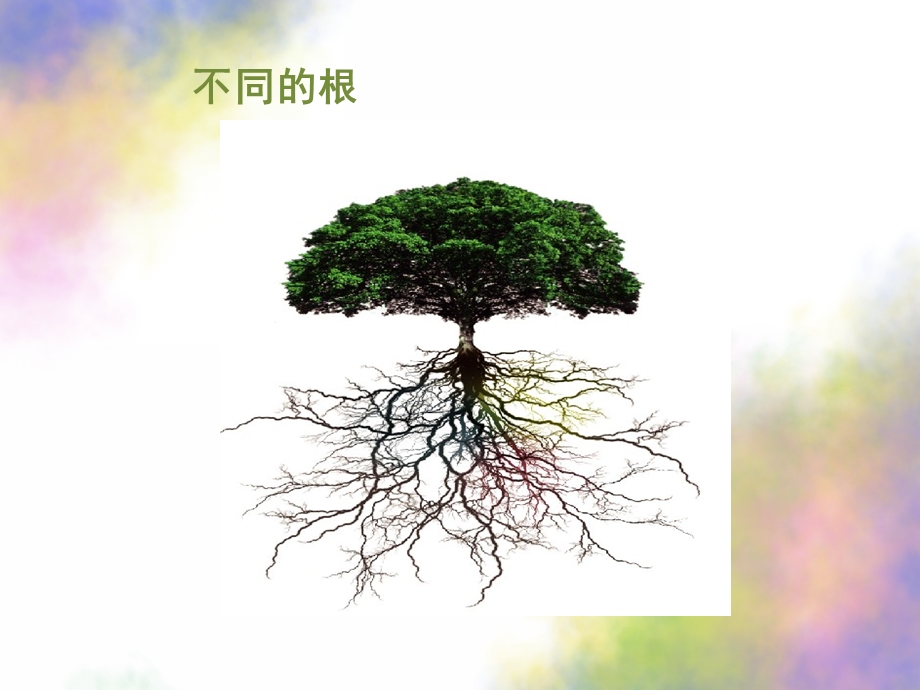 大班科学《植物的根》PPT课件教案科学：植物的根.ppt_第3页