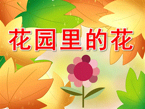 小班科学课件《花园里的花》PPT课件教案PPT课件.ppt