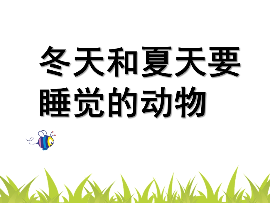 大班科学《冬天和夏天睡觉的动物》PPT课件大班科学--冬天和夏天要睡觉的动物.ppt_第1页