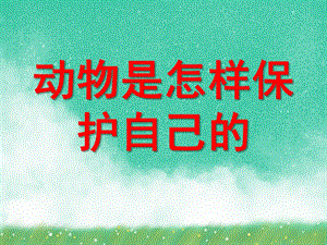 大班科学《动物是怎样保护自己的》PPT课件大班科学《动物是怎样保护自己的》PPT课件.ppt