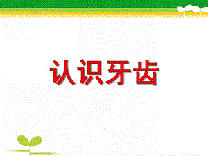 大班健康教育活动《认识牙齿》PPT课件大班健康教育活动《认识牙齿》PPT课件.ppt