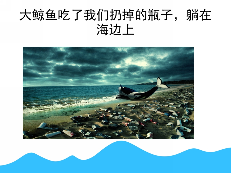 中班科学《保护海洋环境与海洋动物》PPT课件PPT课件.ppt_第3页