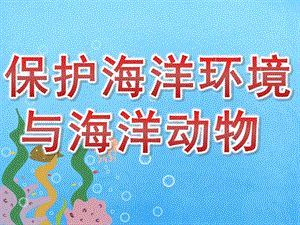 中班科学《保护海洋环境与海洋动物》PPT课件PPT课件.ppt