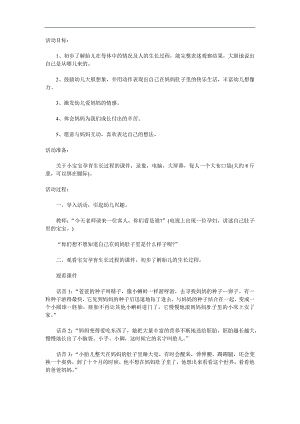 大班主题《我从哪里来》PPT课件教案参考教案.docx