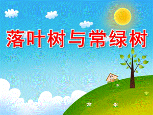 大班科学《落叶树与常绿树》PPT课件教案配音PPT课件.ppt