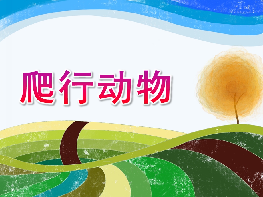 幼儿园《爬行动物》PPT课件ppt课件.ppt_第1页