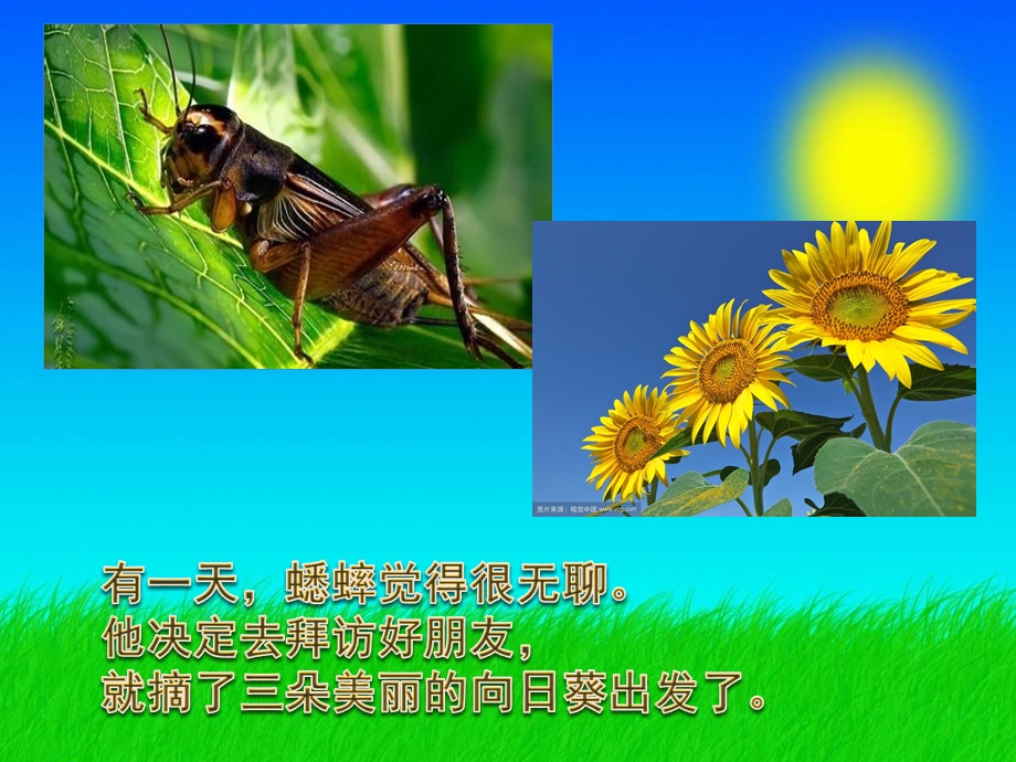 幼儿园语言故事《快乐的夏天》PPT课件教案快乐的夏天.ppt_第2页