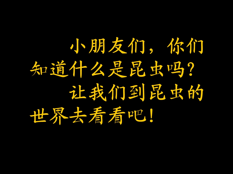 小班科学《认识昆虫》PPT课件教案小班科学-认识昆虫.ppt_第2页