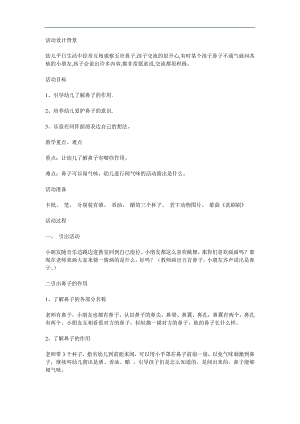 中班《有趣的鼻子》PPT课件教案参考教案.docx