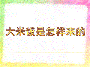 中班社会活动《大米饭是怎样来的》PPT课件教案中班社会活动：大米饭是怎样来的.ppt