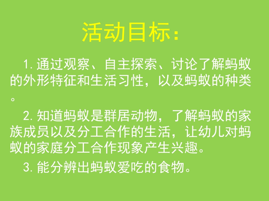 大班科学《蚂蚁家族》PPT课件教案大班科学活动《蚂蚁家族》.ppt_第2页