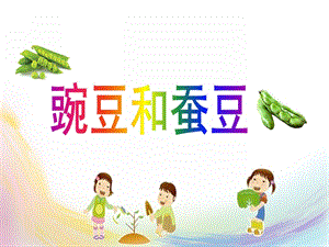 幼儿园儿歌《豌豆和蚕豆》PPT课件儿歌《豌豆和蚕豆》.ppt