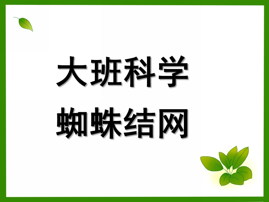 大班科学《蜘蛛结网》PPT课件大班科学：蜘蛛结网.ppt_第1页