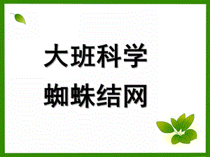 大班科学《蜘蛛结网》PPT课件大班科学：蜘蛛结网.ppt