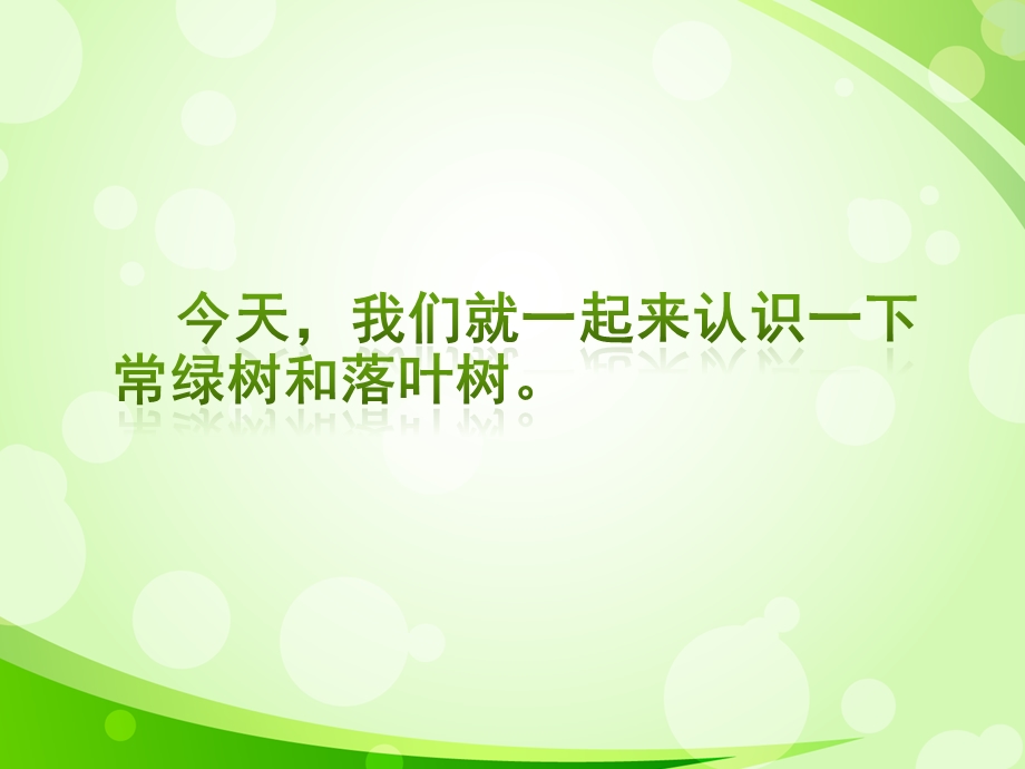 大班科学《常绿树和落叶树》PPT课件教案常绿树和落叶树.ppt_第3页