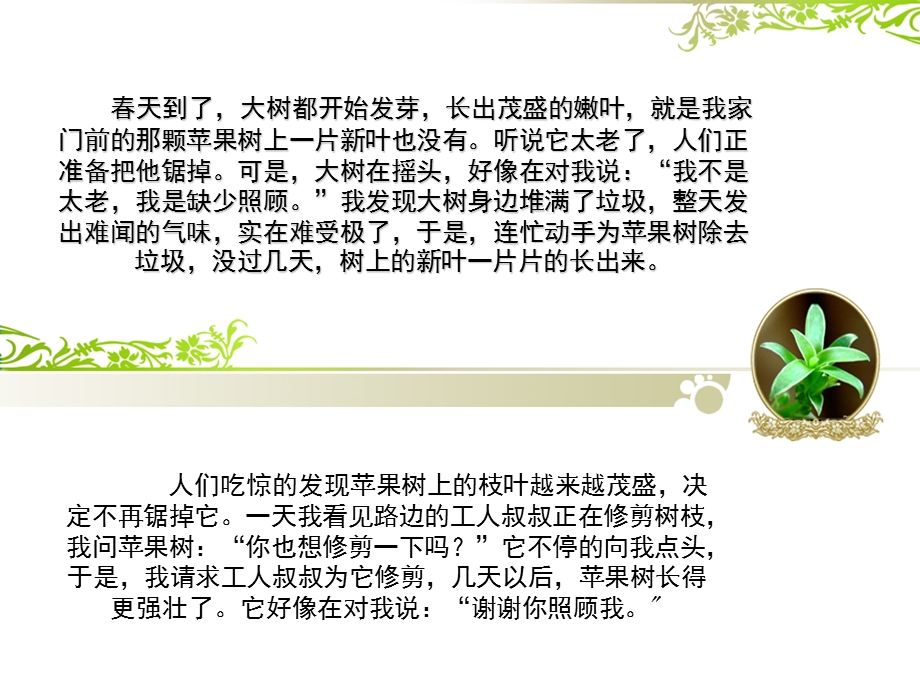 我家门前的苹果树PPT课件教案图片我家门前的苹果树PPT.ppt_第2页