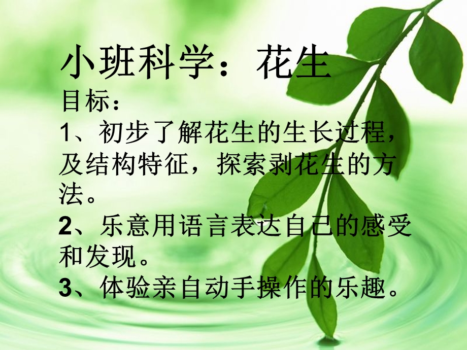 小班科学活动《花生》PPT课件教案.ppt_第2页