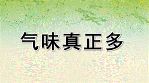 小班科学课件《气味真正多》PPT课件教案幼儿园小班上册科学活动《气味真正多》课件.ppt